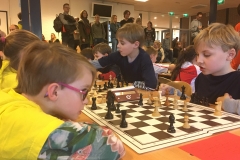 20170114_135515431_iOS